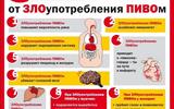 sm_full (1)